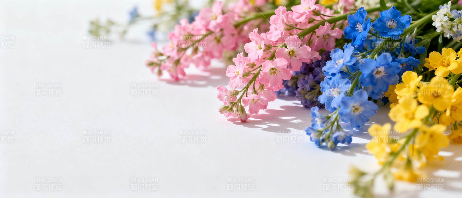 多彩花束静谧绽放图片