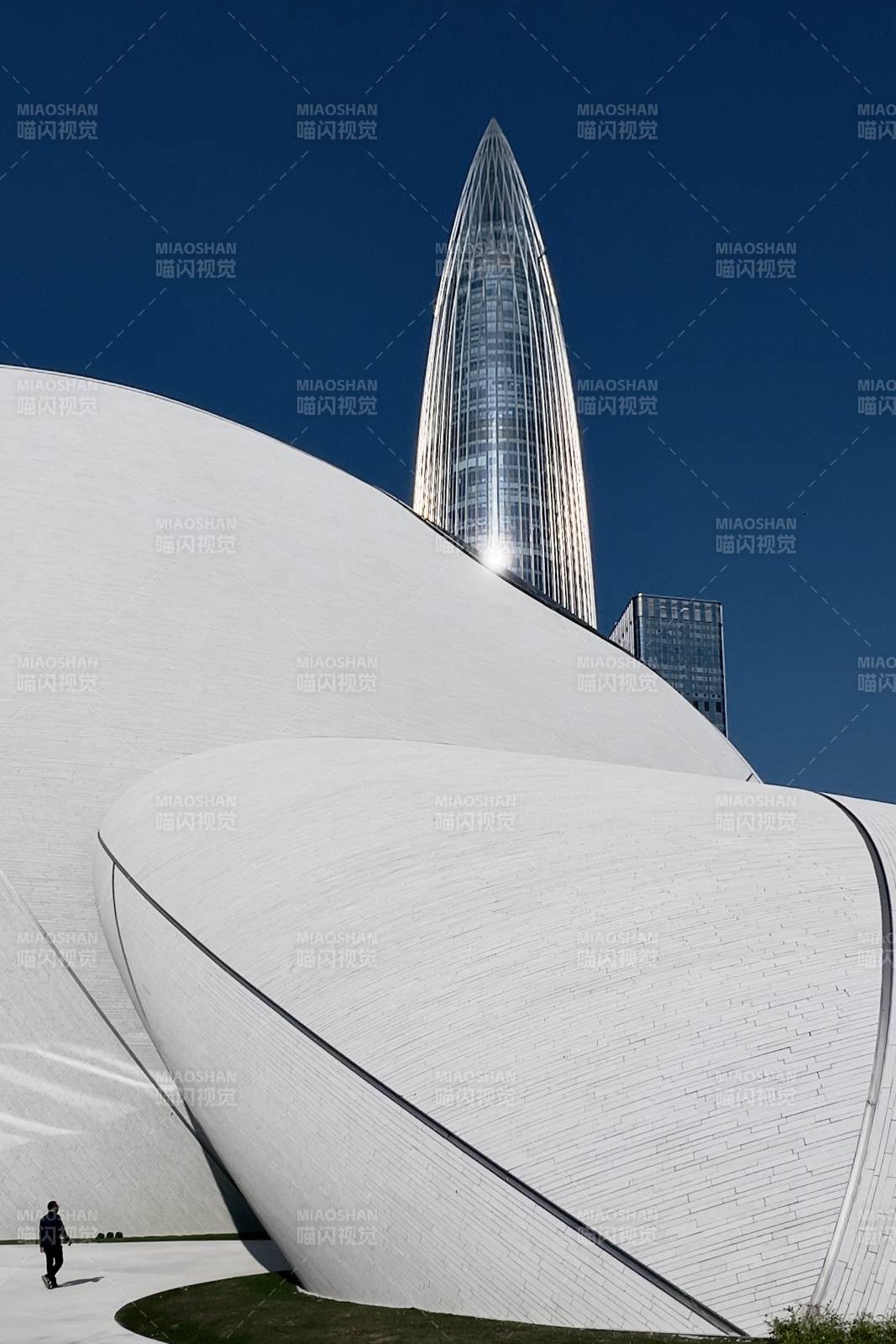 深圳湾文化广场图片