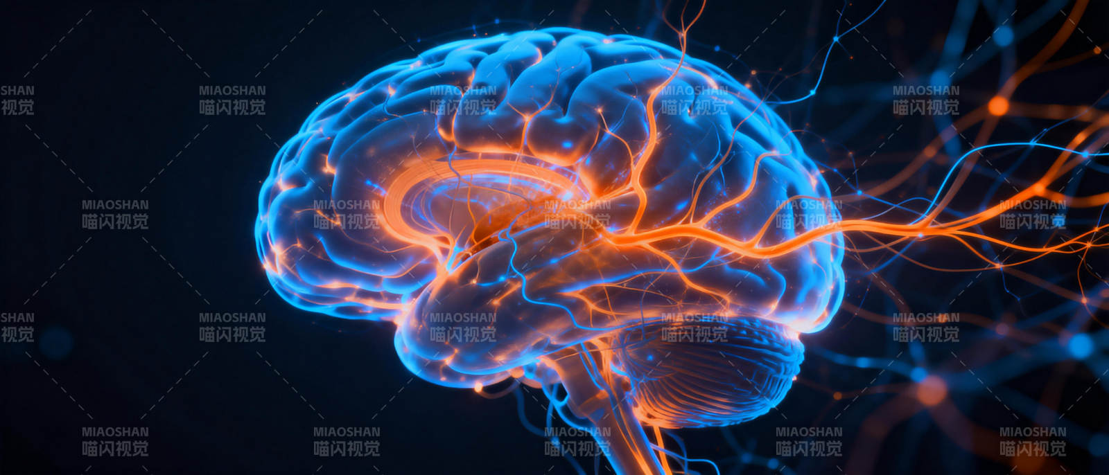大脑神经网络图片