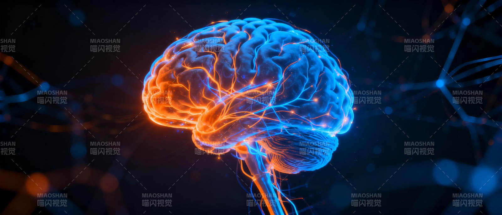 大脑神经网络图片