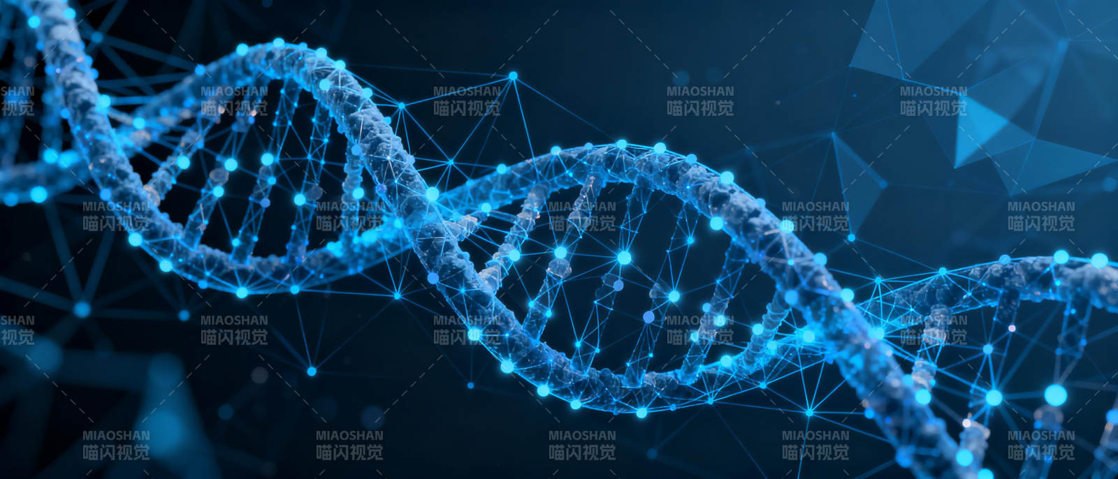 DNA双螺旋结构图片