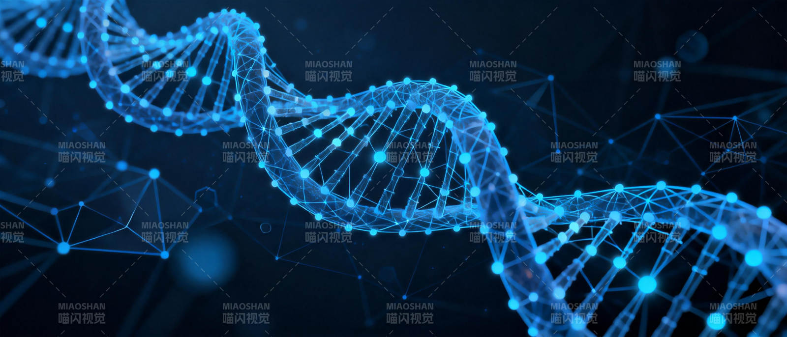 DNA双螺旋结构图片