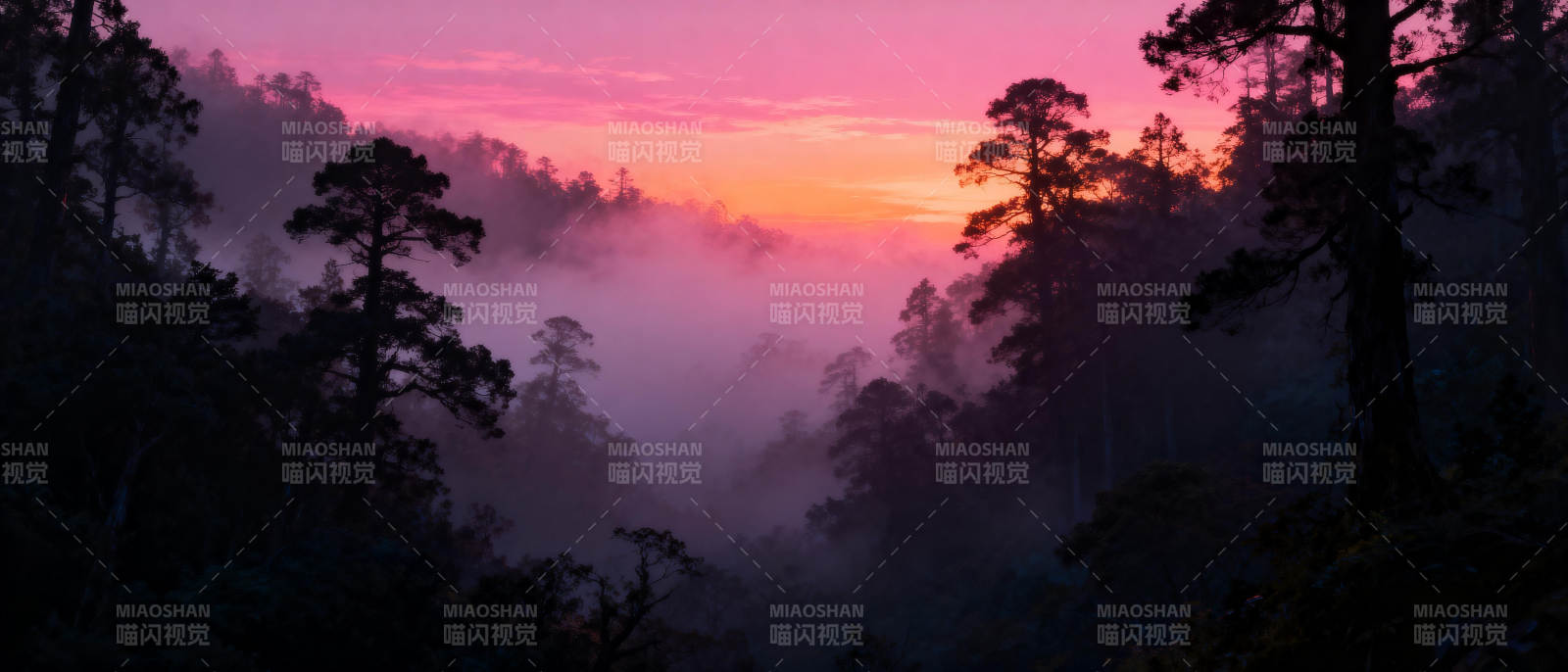 晨雾森林日出图片