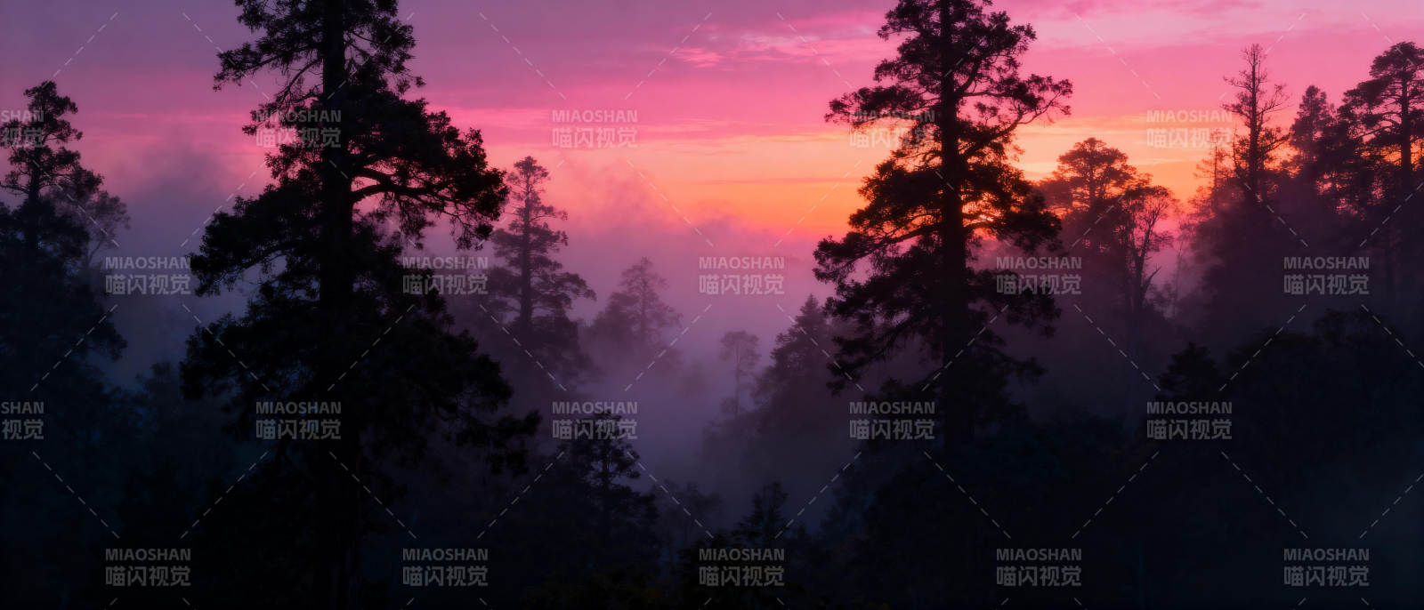 晨雾森林日出图片