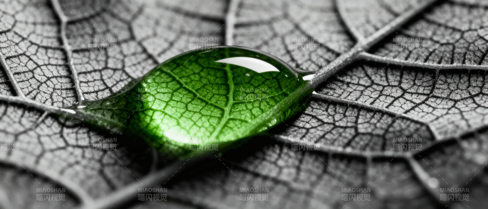 露珠映叶脉图片