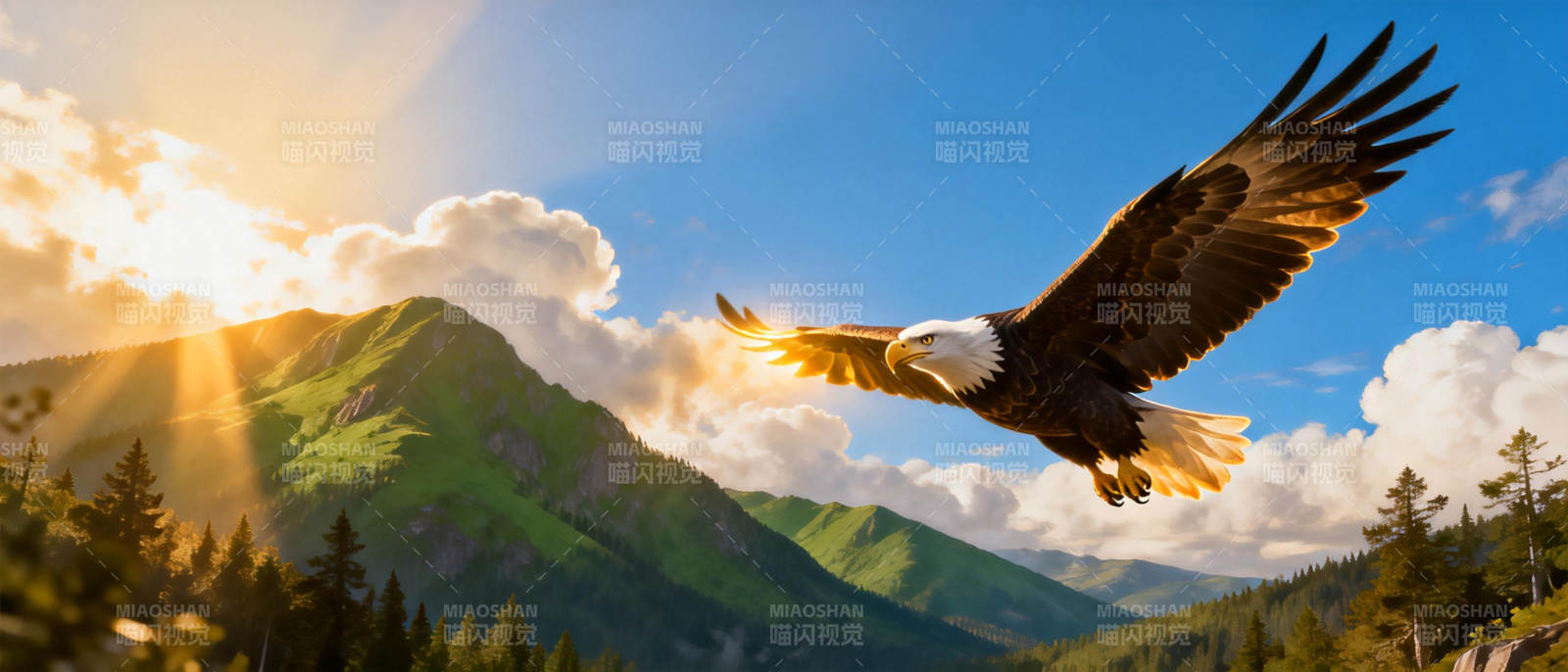雄鹰翱翔山间图片