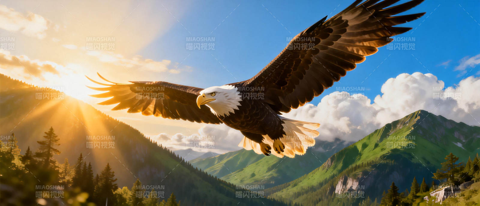 雄鹰翱翔山间图片