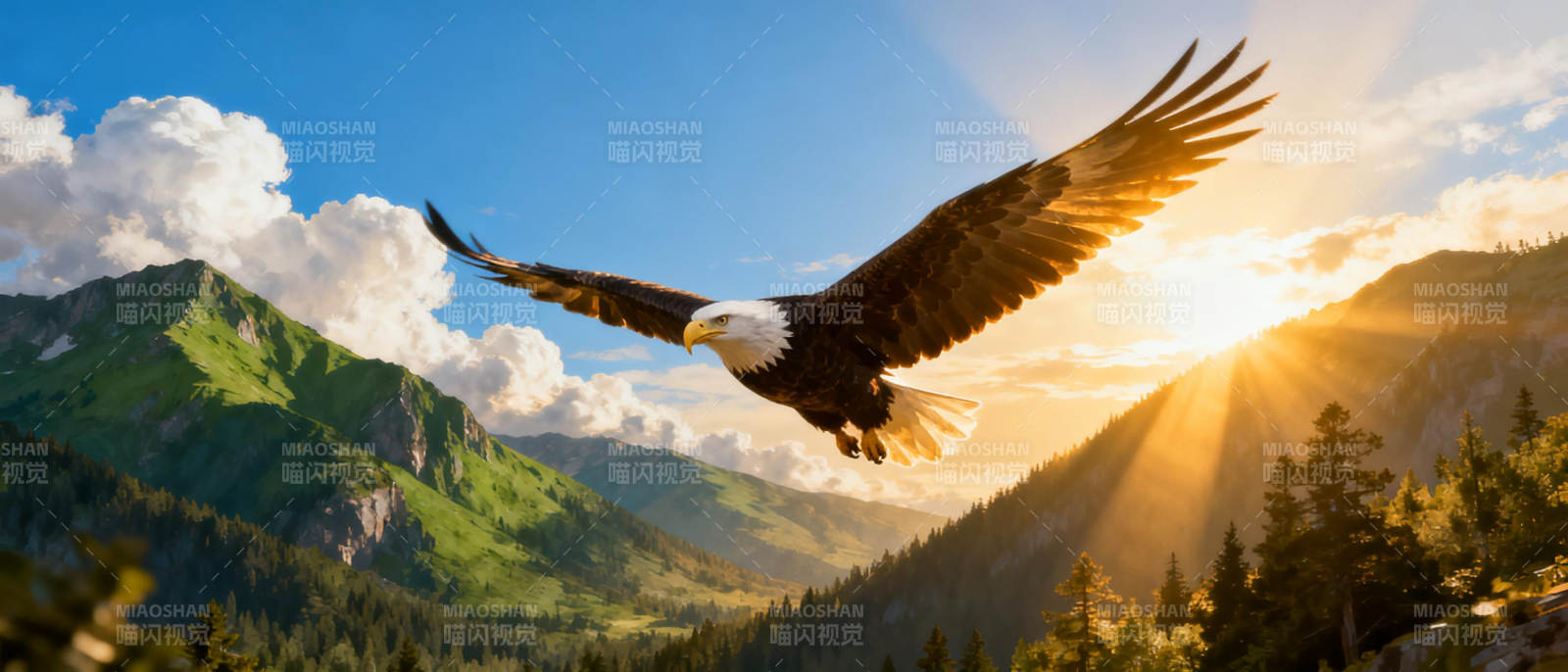雄鹰翱翔山间图片