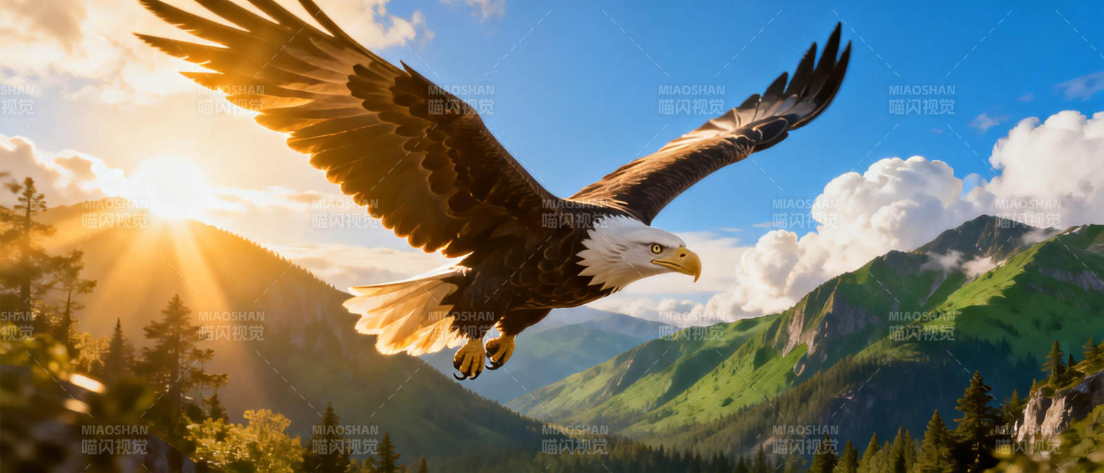 雄鹰翱翔山间图片