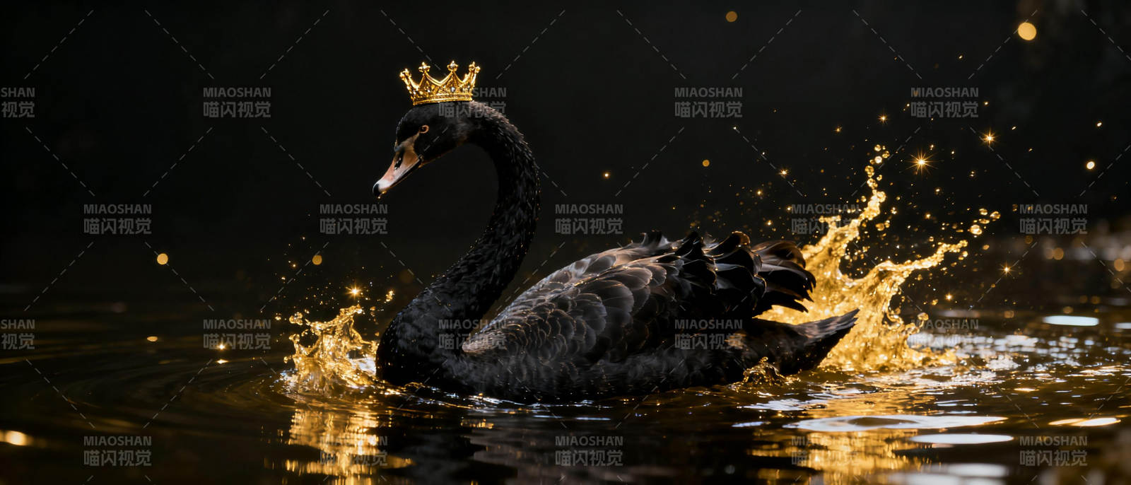 黑天鹅戴皇冠图片