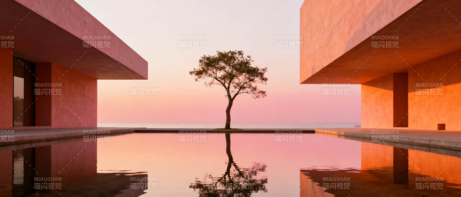 静谧泳池映孤树图片