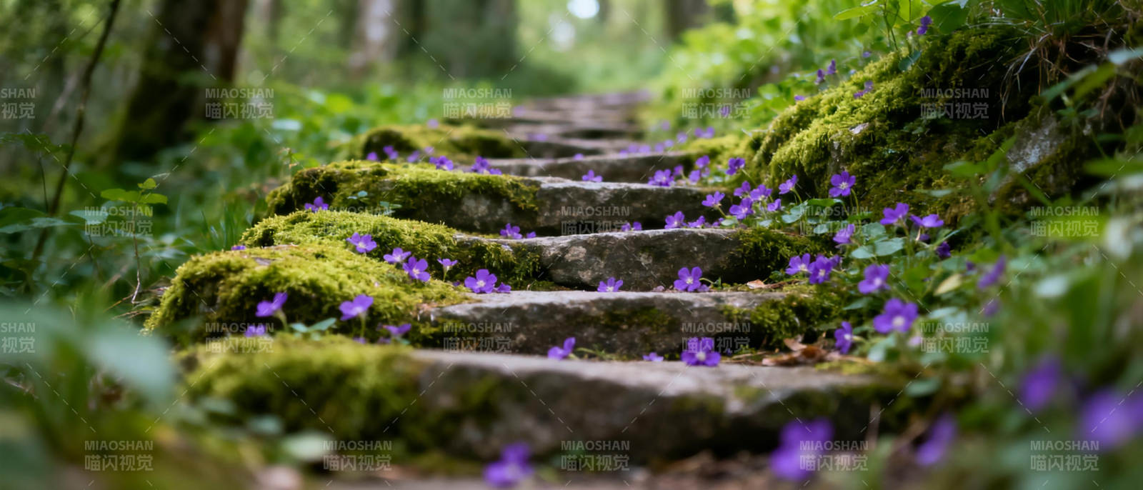 林间石阶紫花绽放图片
