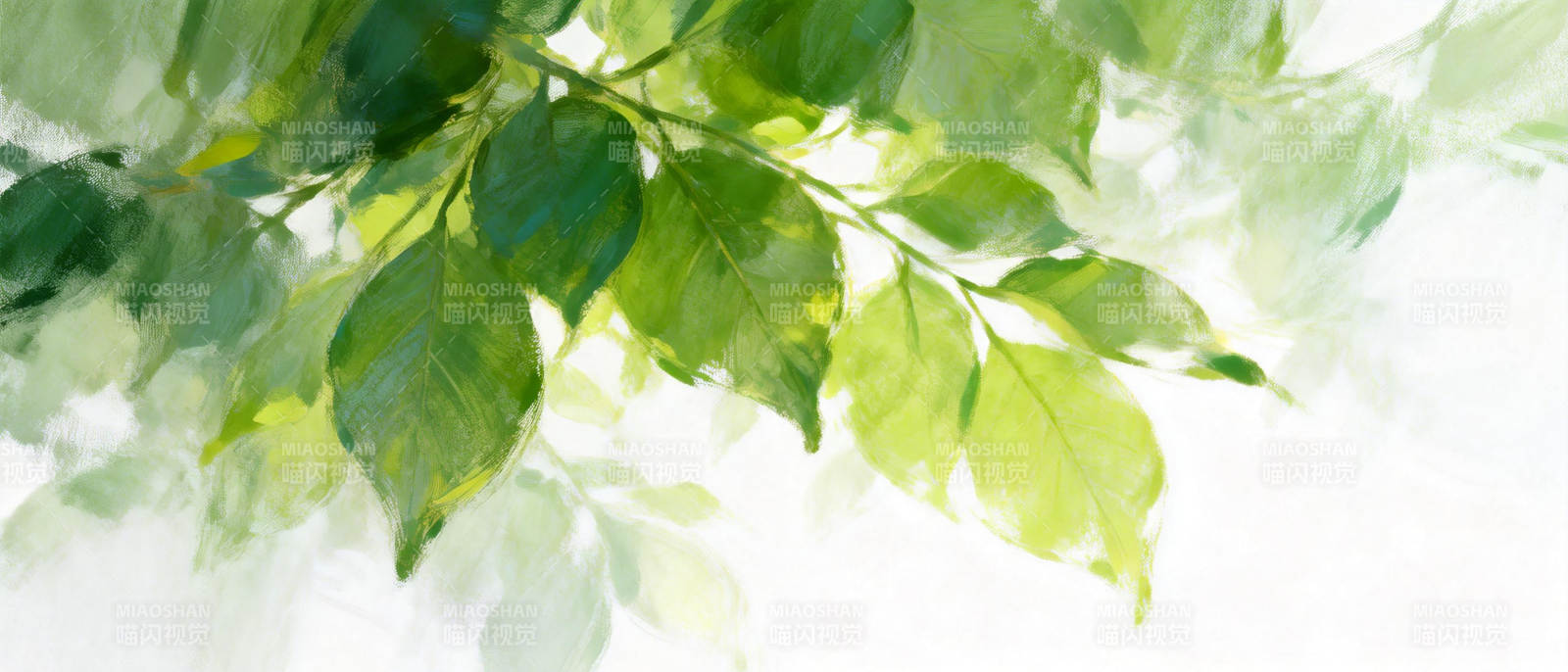 绿叶光影图片