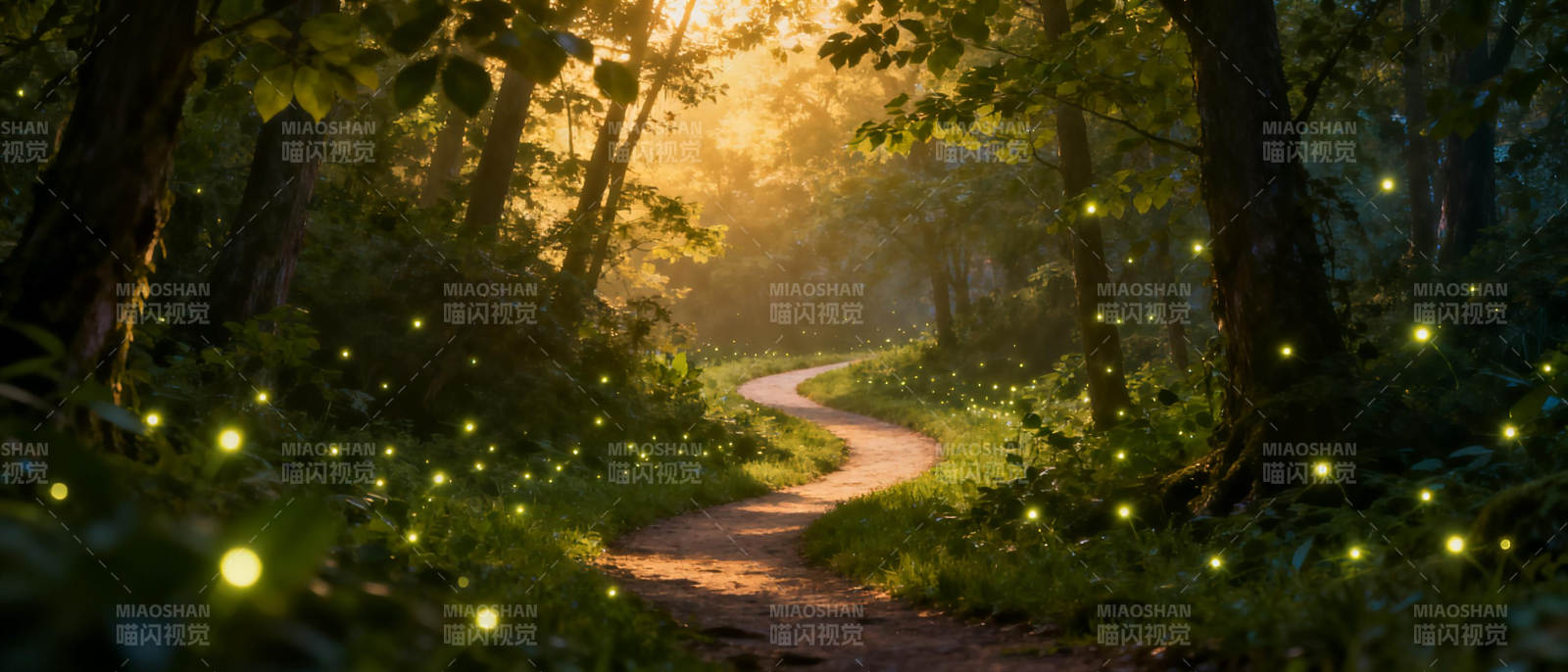 萤火森林小径图片