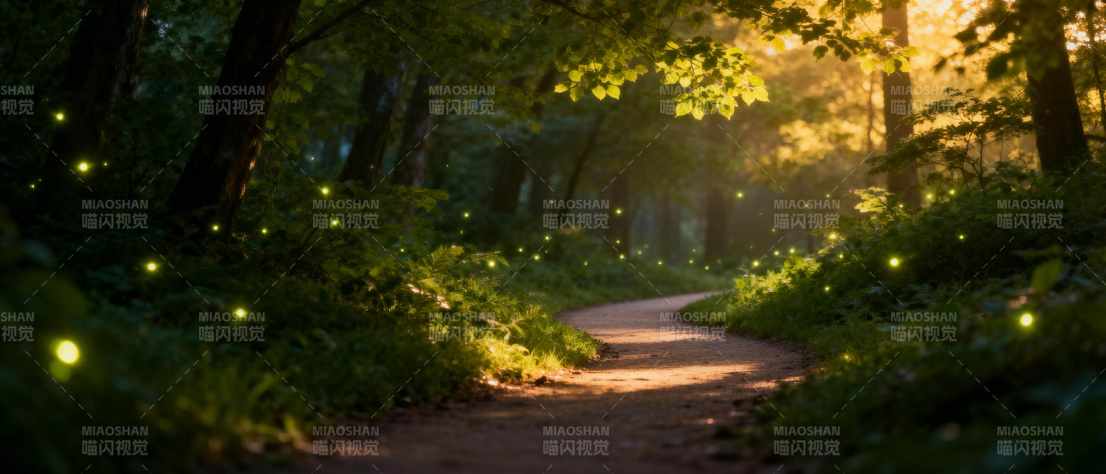 萤火森林小径图片