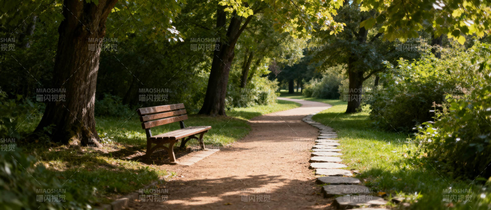 林间小径静谧景图片