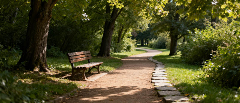 林间小径静谧景图片