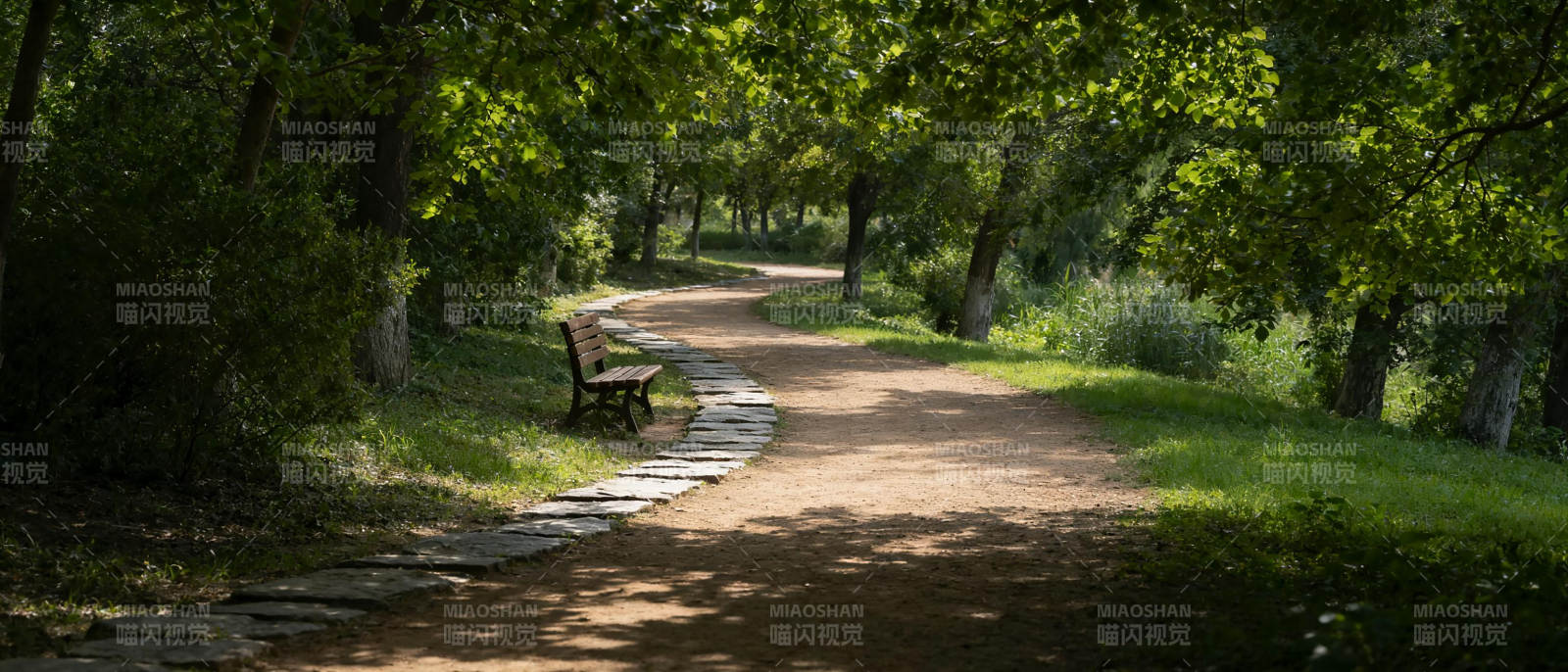 林间小径静谧幽深图片