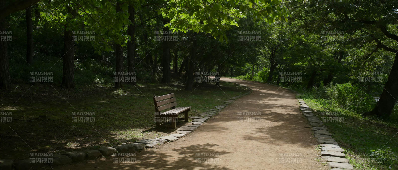 林间小径静谧景图片