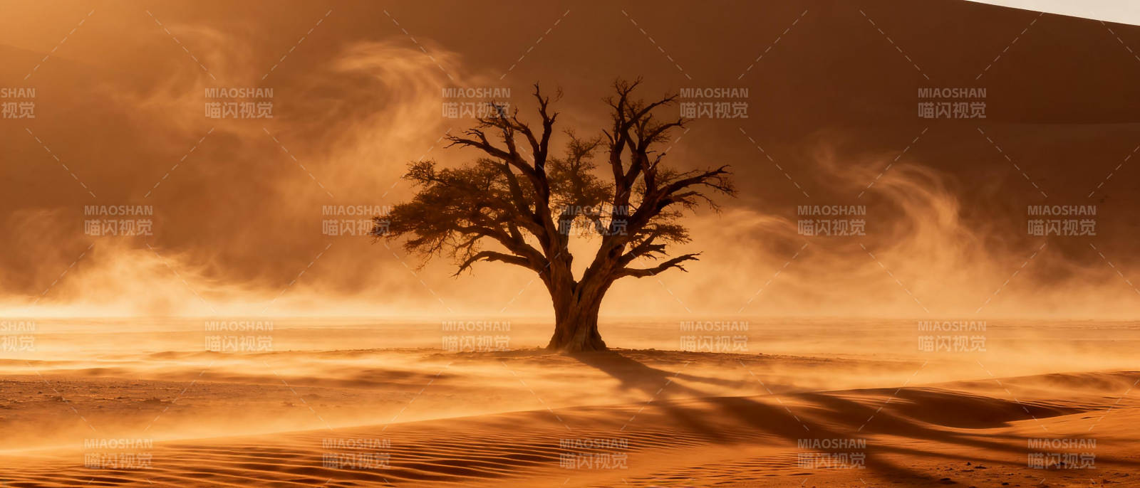 孤树沙海暮色图片