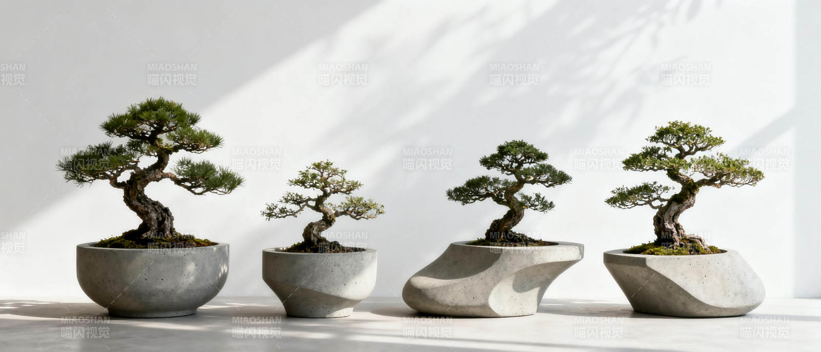 四盆盆景静谧之美图片