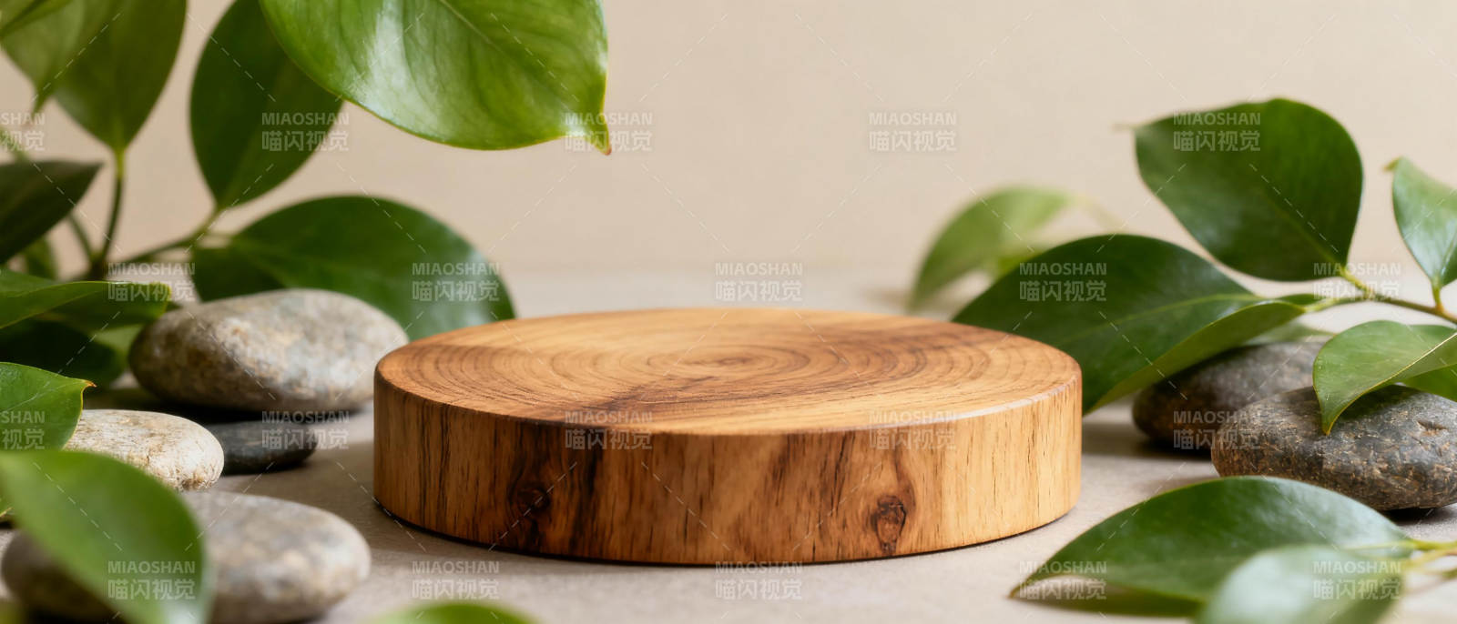 木盘绿叶静谧景图片