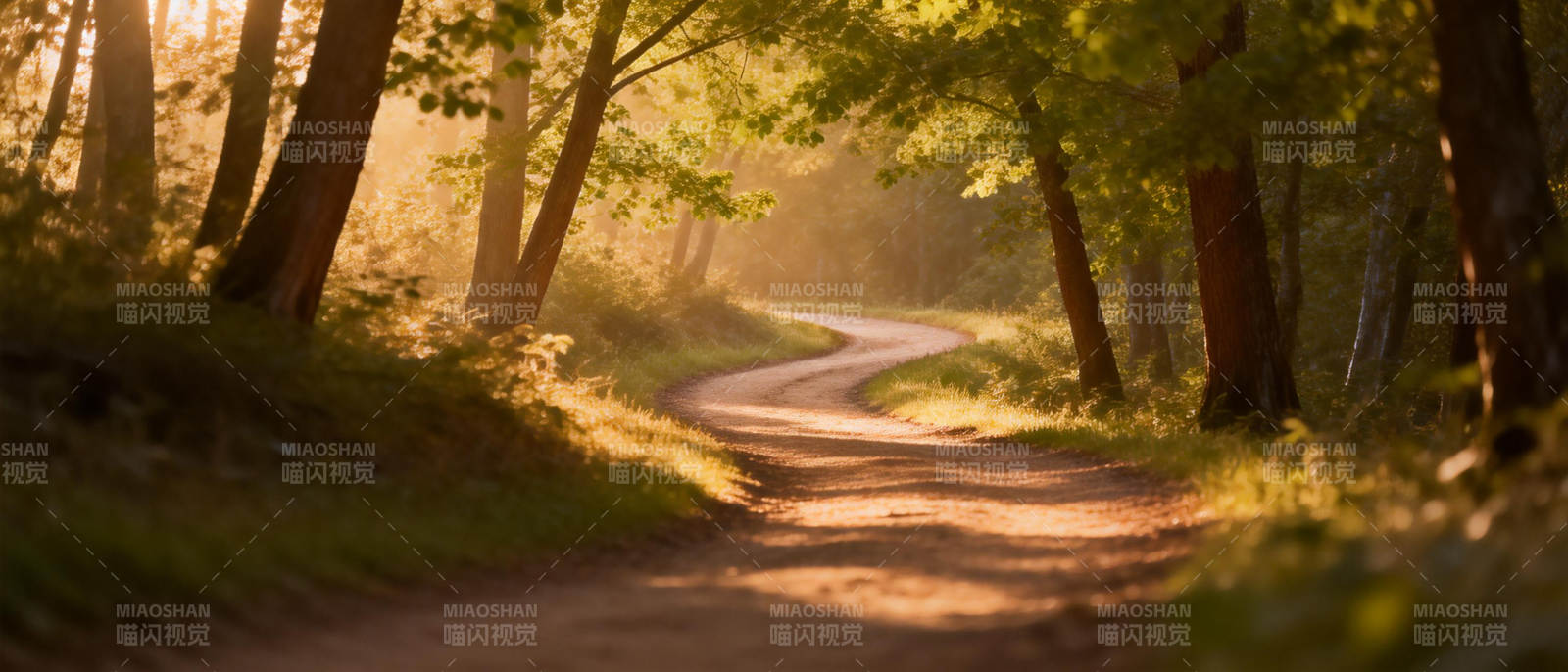 林间小径晨光图片