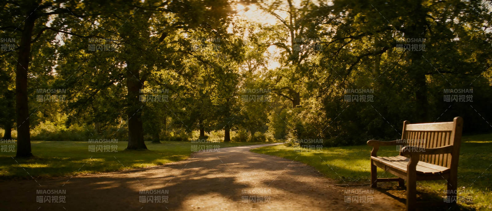林间小径静谧秋景图片