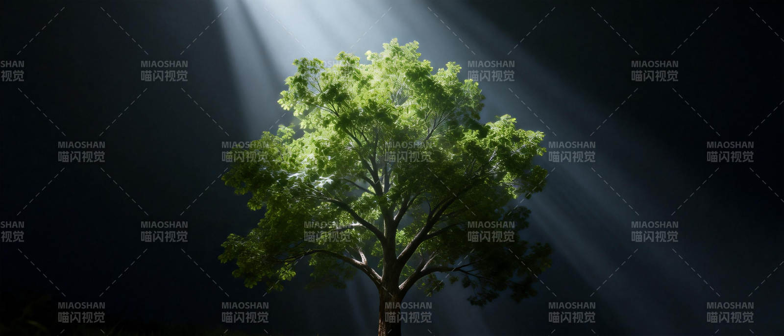 光中之树图片