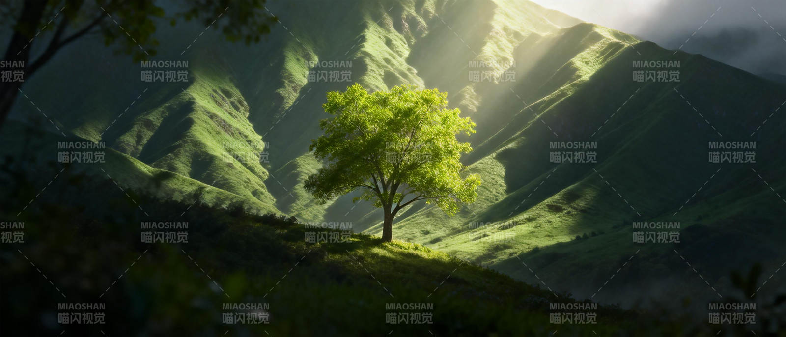 孤树映山光图片