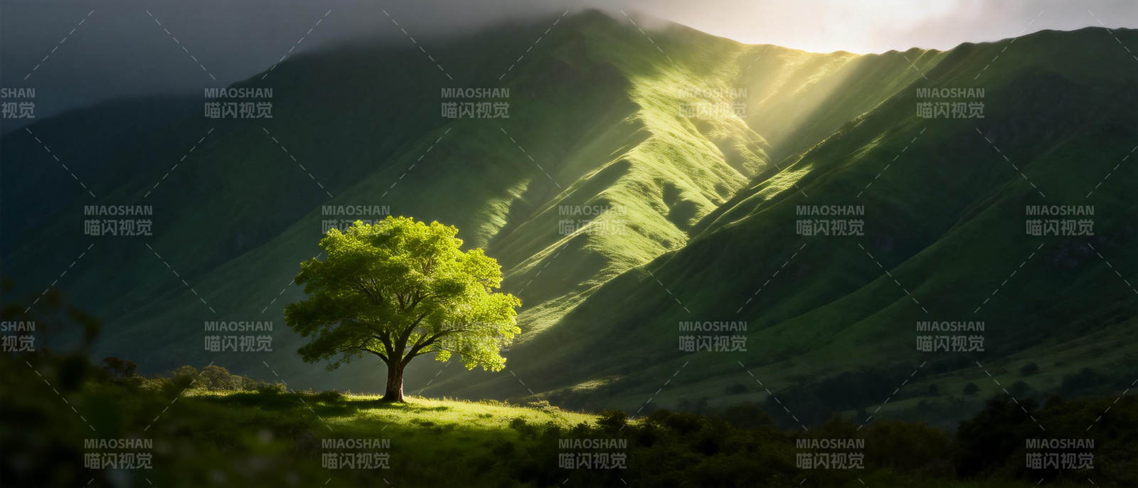孤树映山光图片