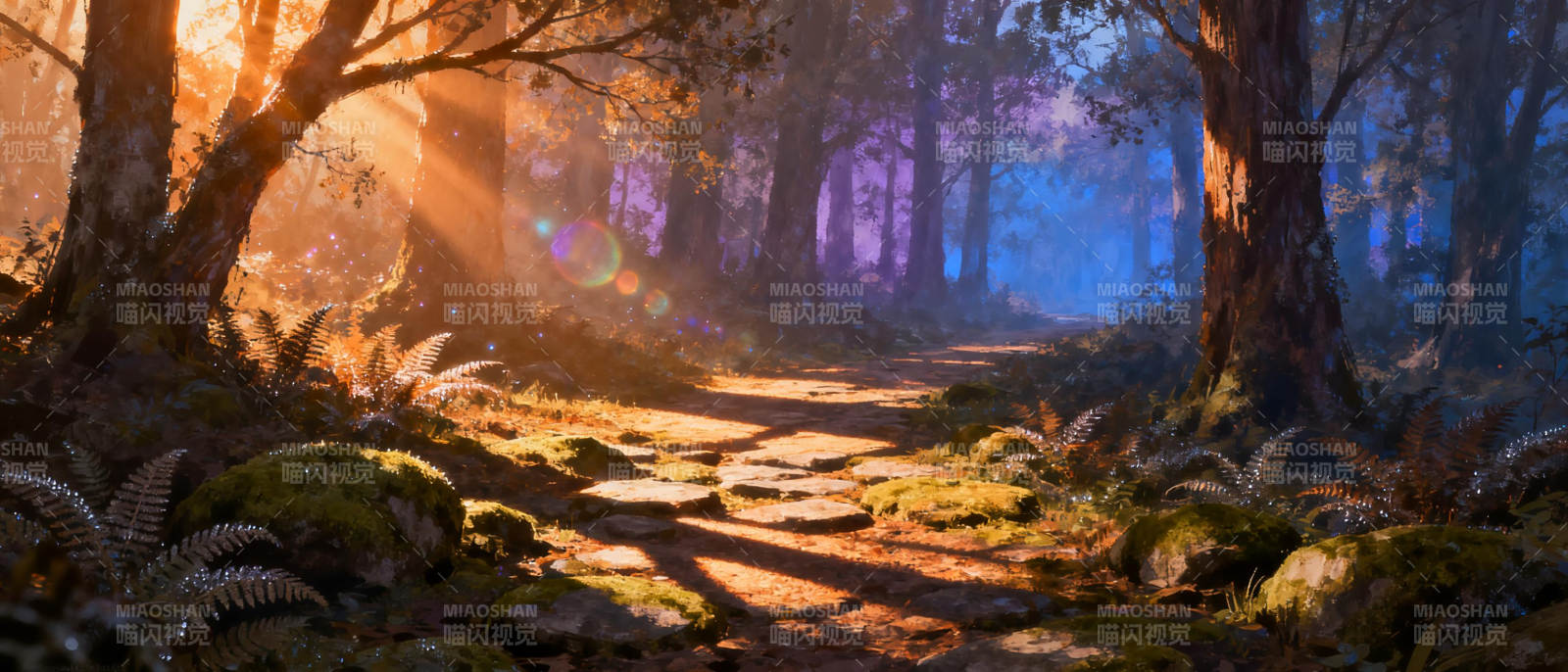 林间晨光小径图片