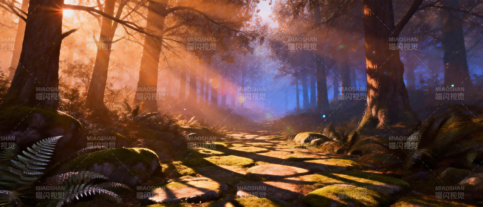 晨雾森林小径图片