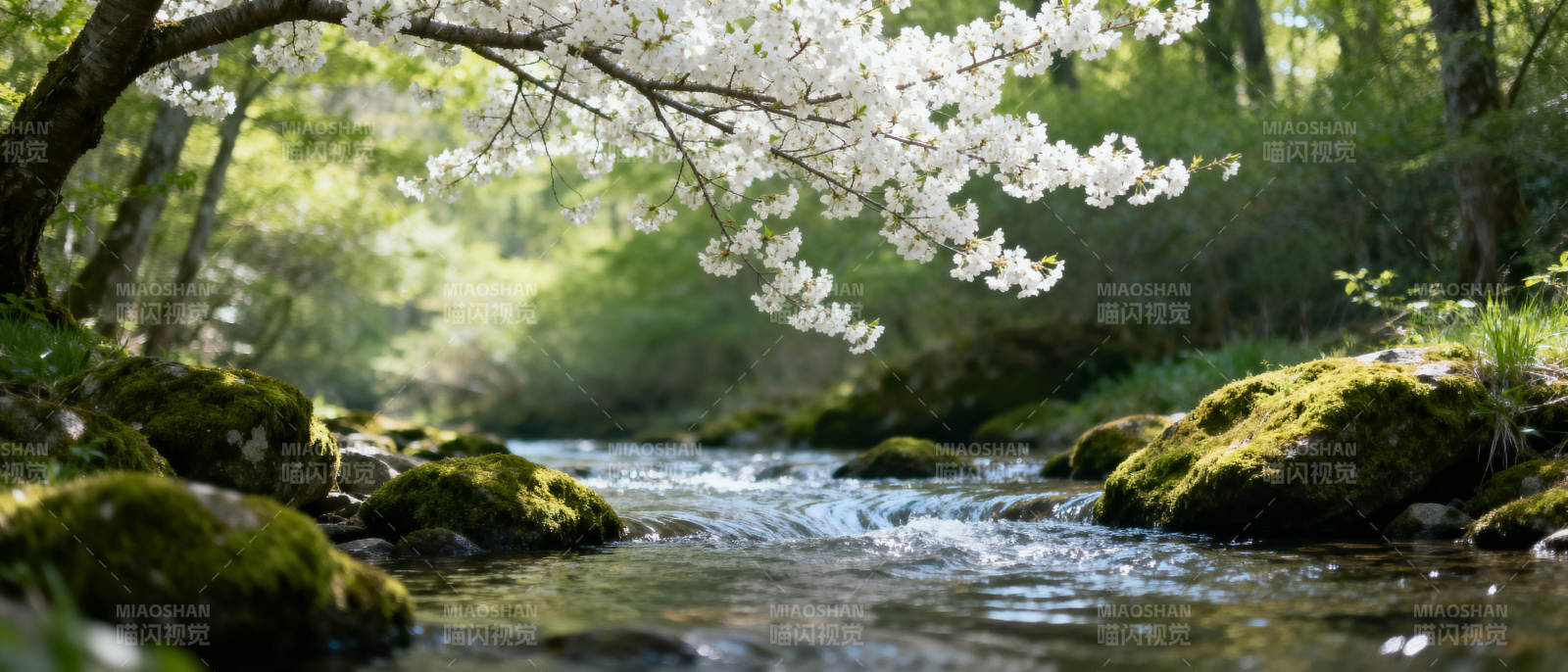 樱花溪流春景图片