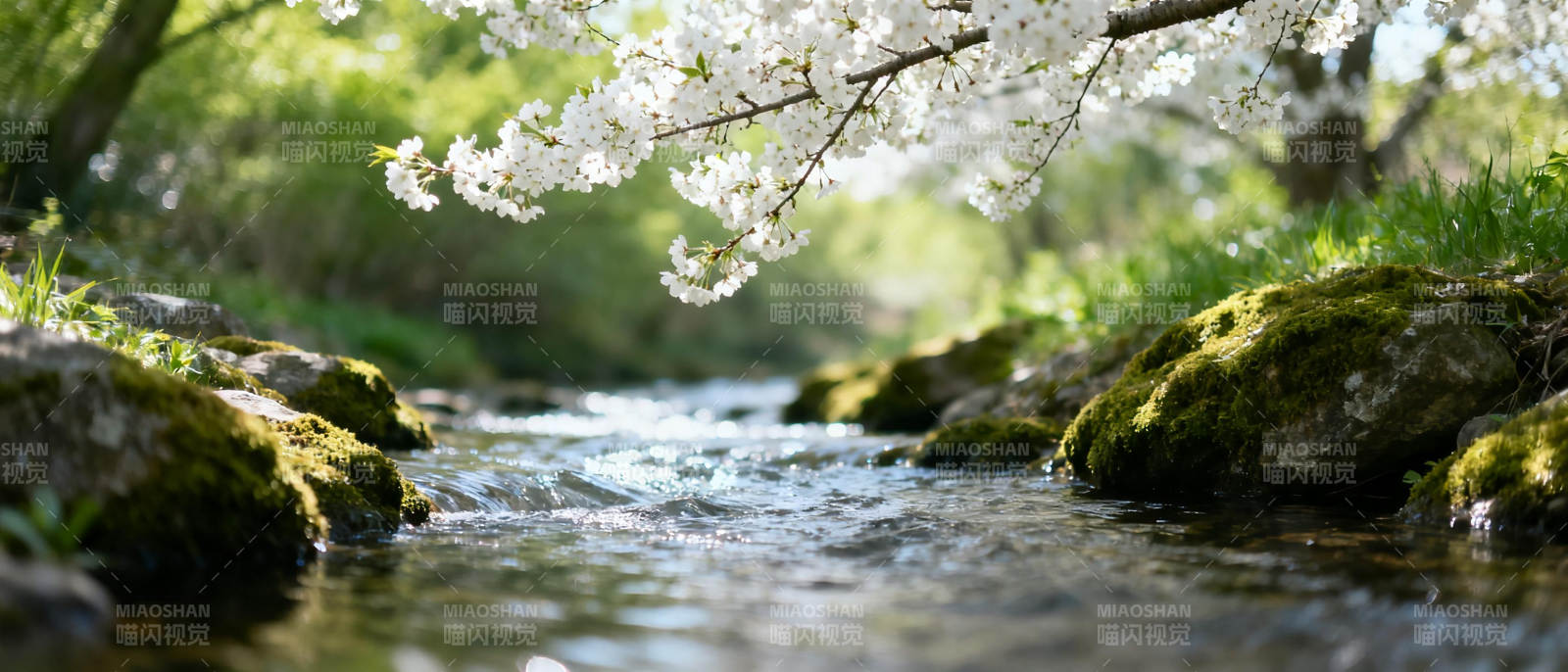 溪流春樱图片