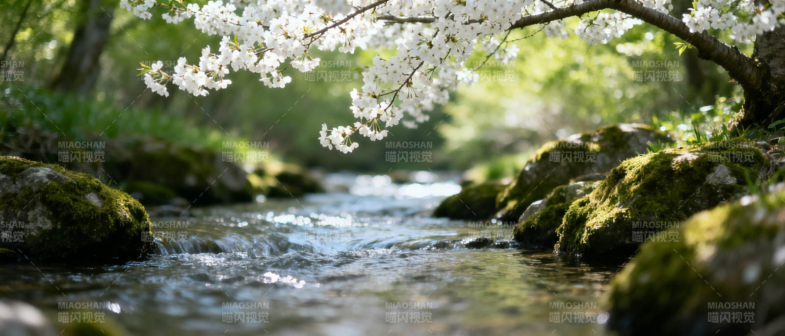 樱花溪流春景图片