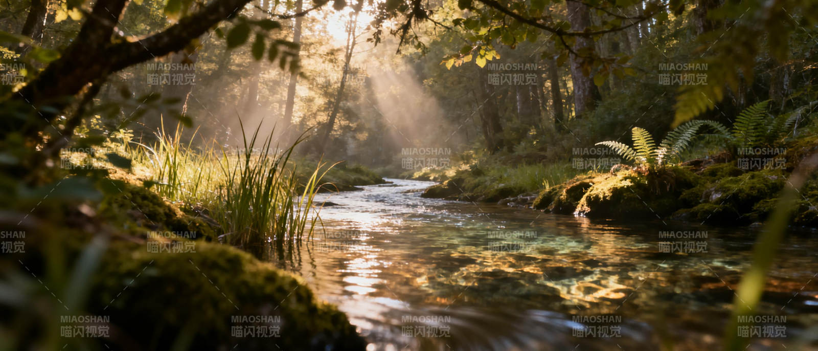 林间溪流晨光图片