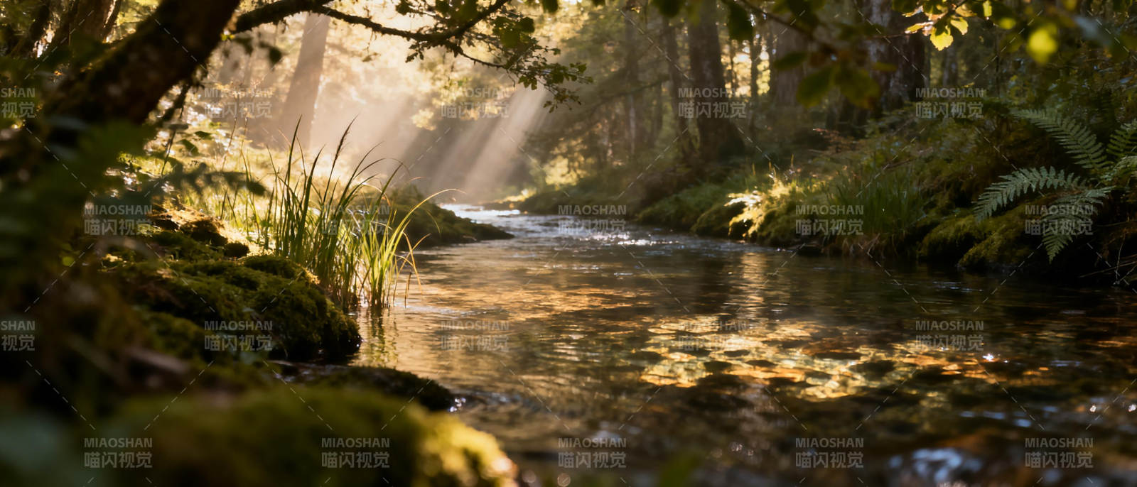 林间溪流光影图片