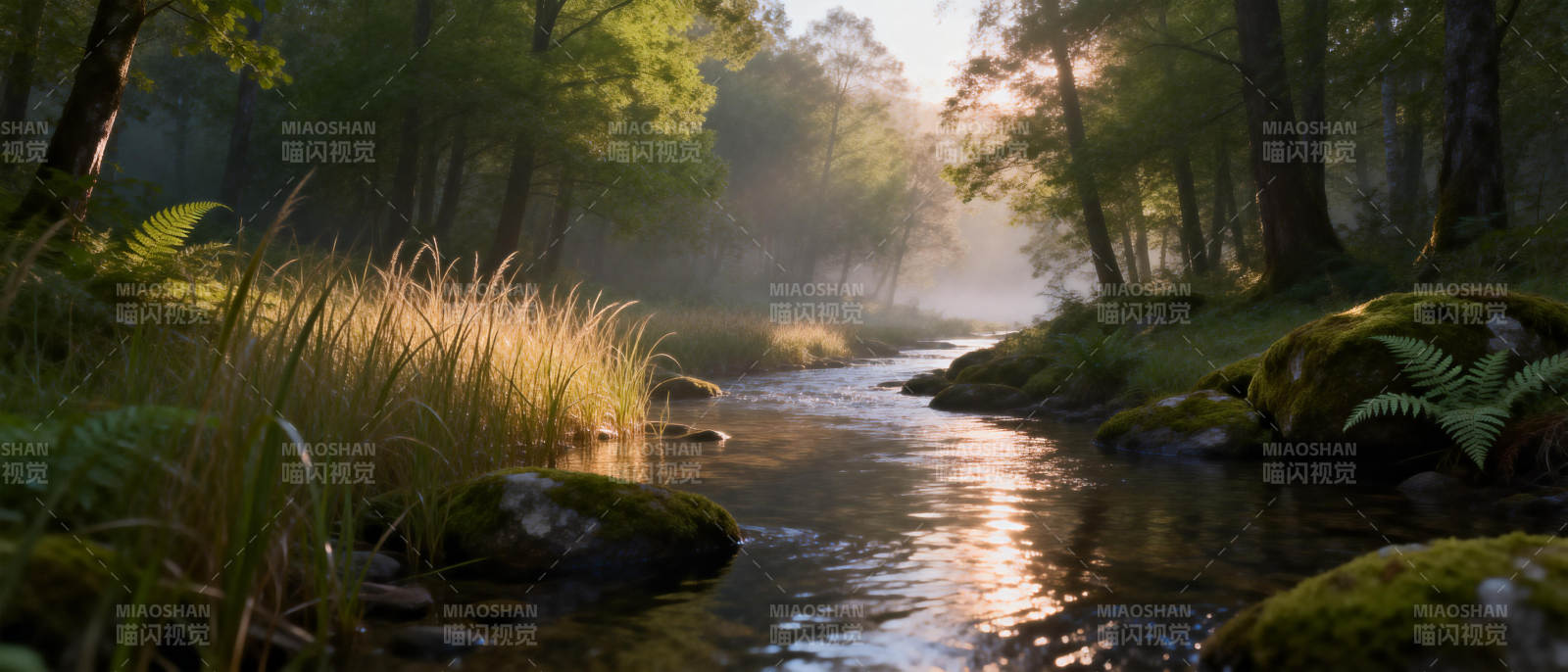 晨雾溪流林间景图片