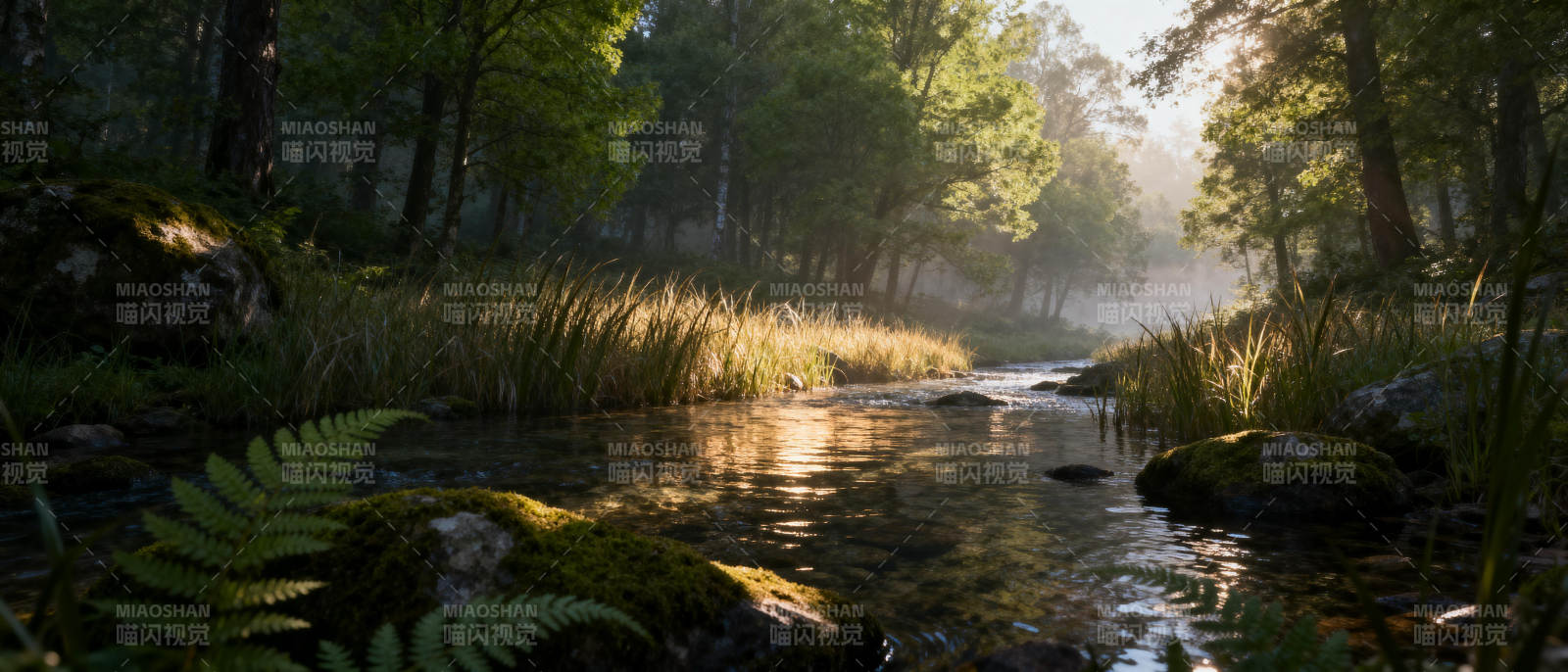林间溪流晨光图片