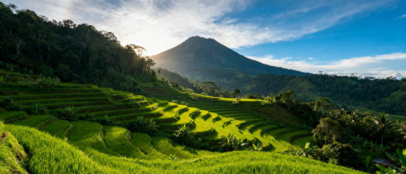 梯田晨光山影图片