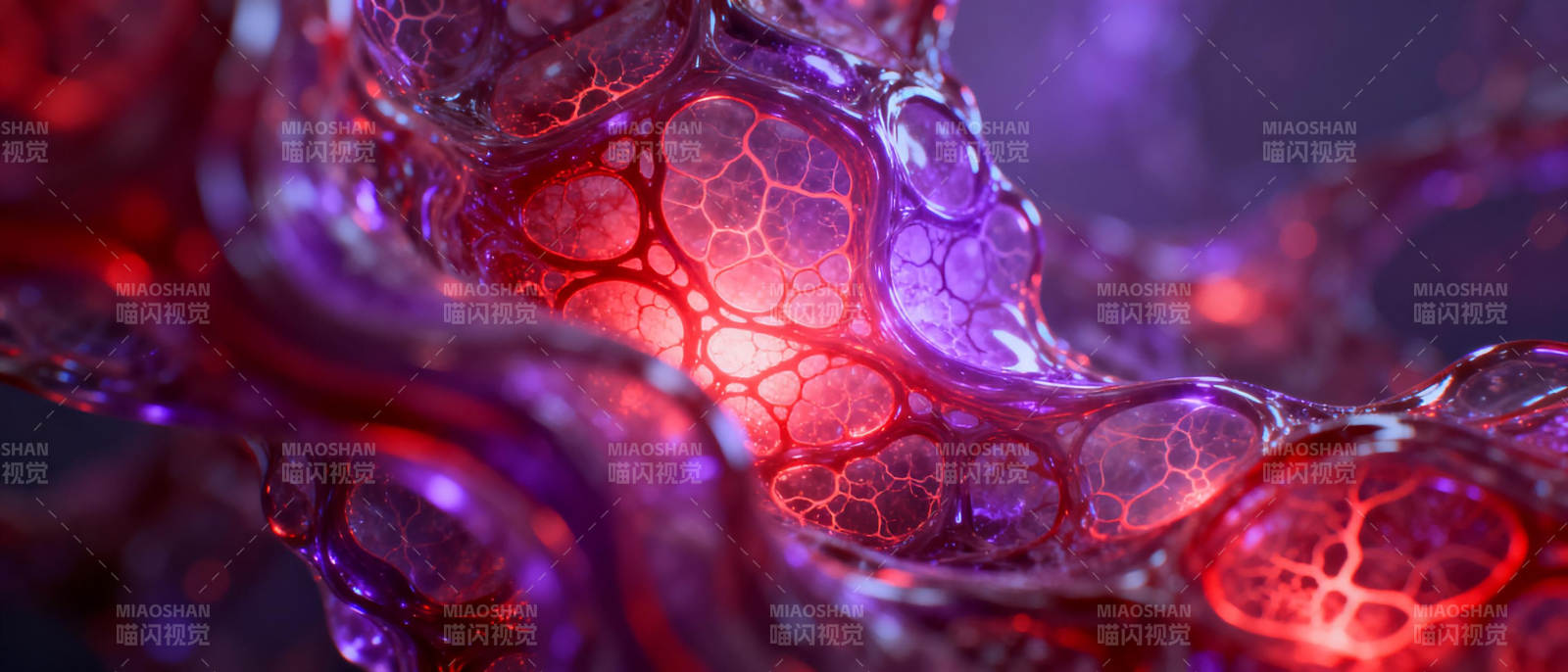 神秘生物光脉图片