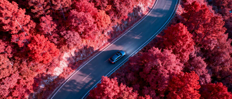 秋林公路行图片