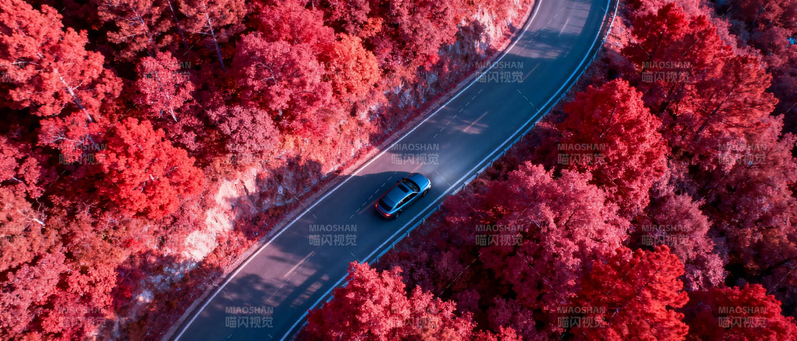 秋林公路行图片