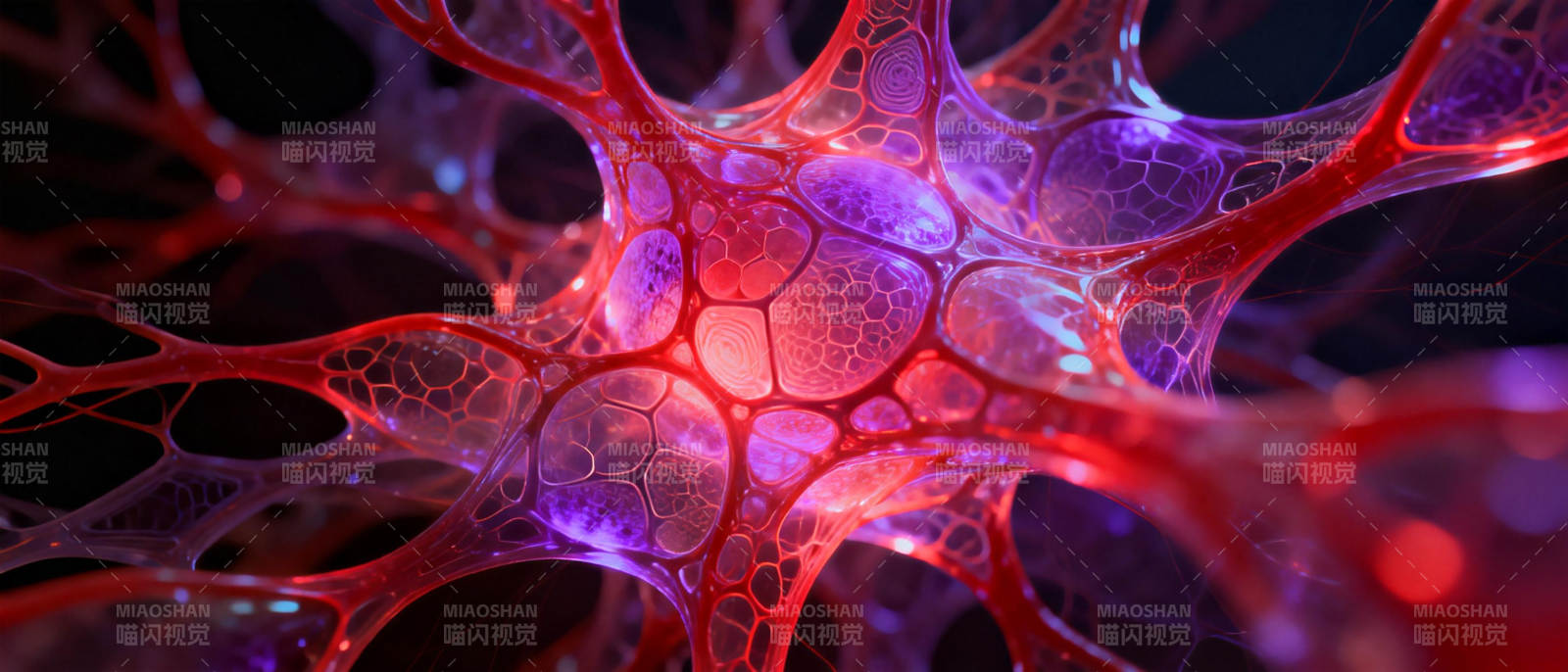 细胞网络之光图片