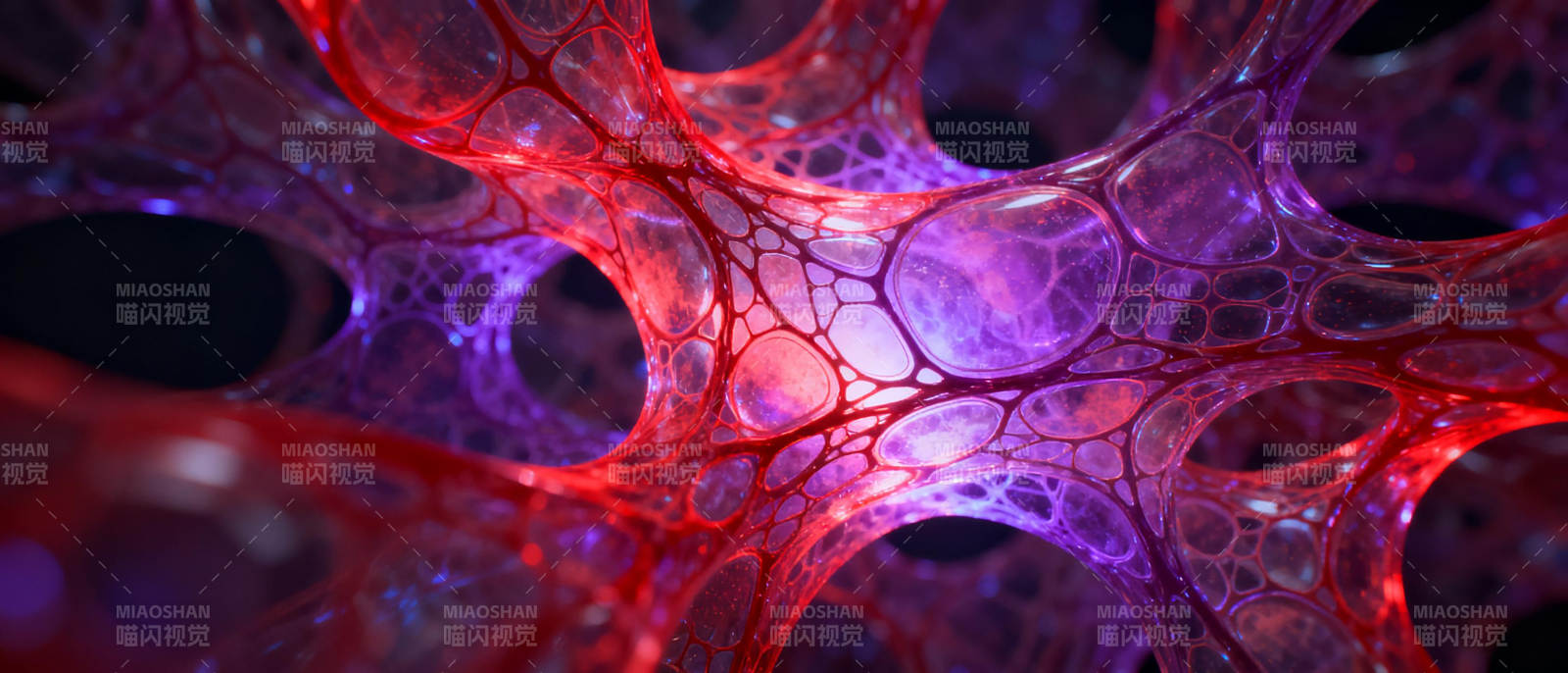 炫彩生物网络图片