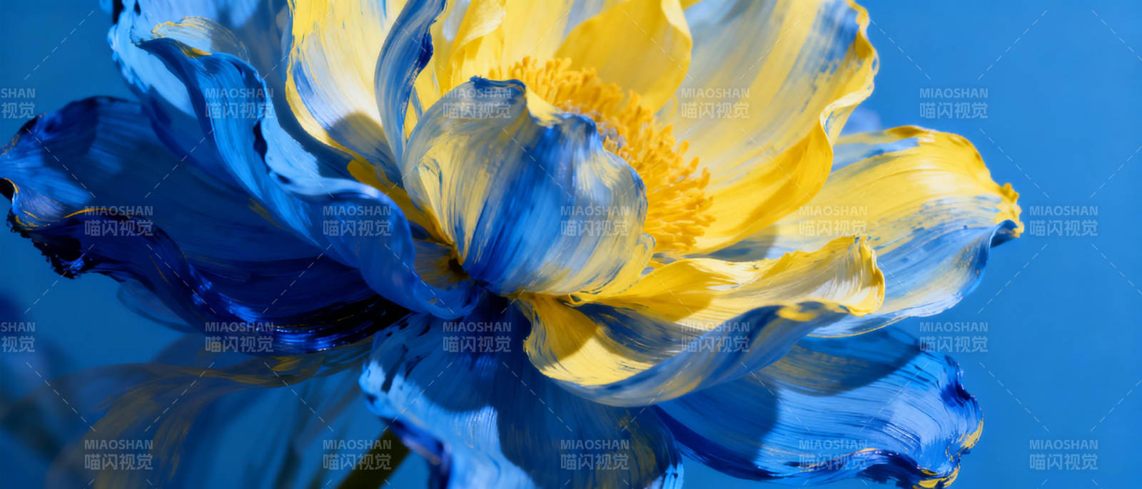 蓝黄花绽放图片