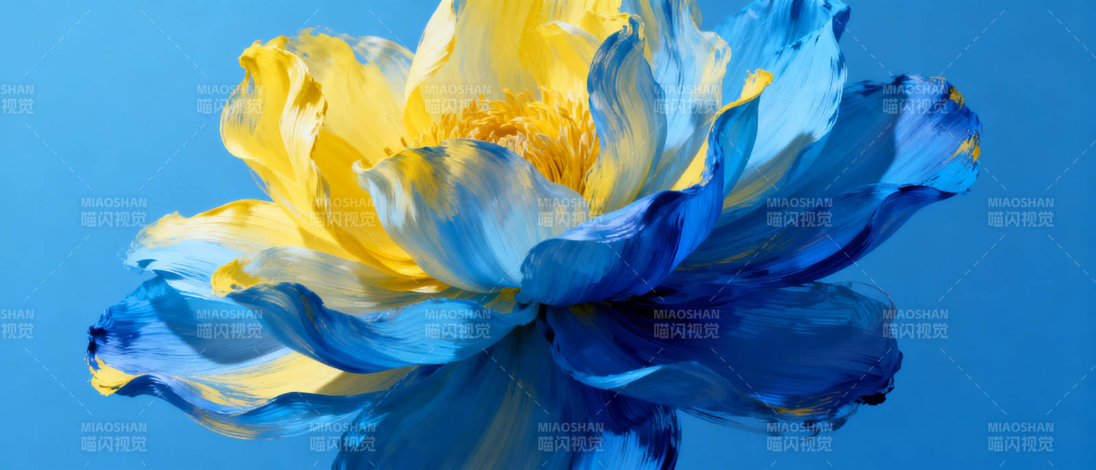 蓝黄花绽放图片