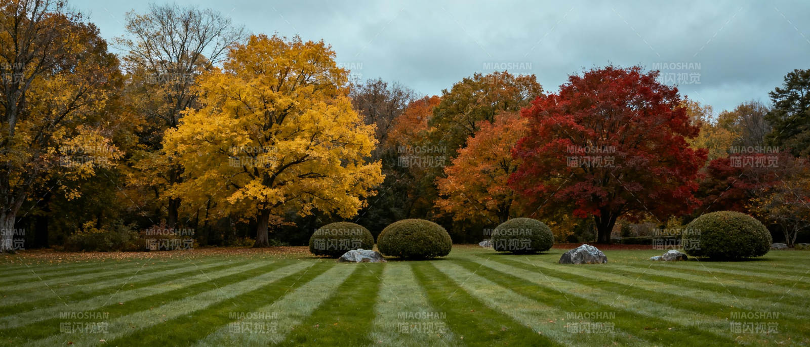 秋色斑斓园林景图片