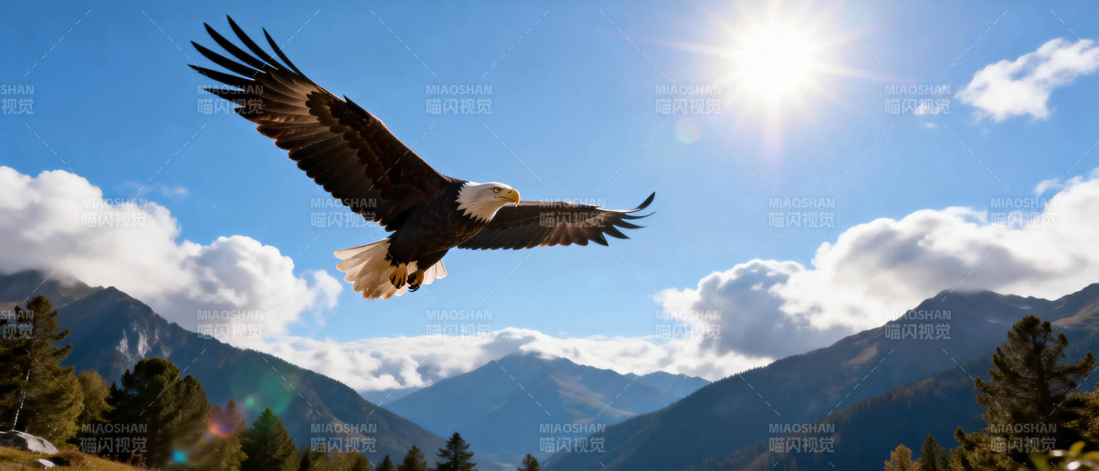 雄鹰翱翔山巅图片